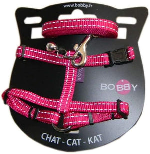 Collars and harnesses