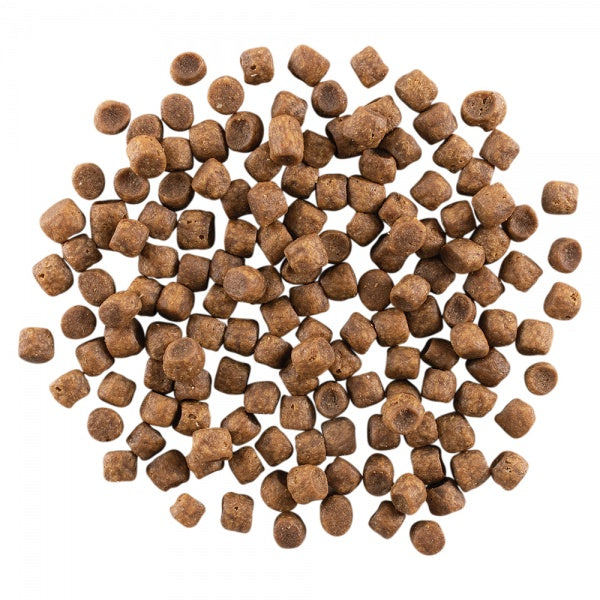 GO! Carnivore Kana, Kalkun + Part Kuivtoit Kassile ja Kassipojale 1,4kg – pilt 3