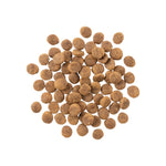 GO! Sensitivities Pardiga Kuivtoit Koerale ja Kutsikale 10kg – pilt 3