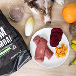 Tales and Tails Pehme Kuivtoit Täiskasvanud Koertele (75% Lambaliha) 4kg – pilt 2