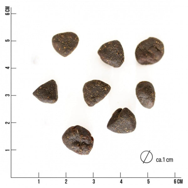 Tales and Tails Pehme Kuivtoit Täiskasvanud Koertele (75% Lambaliha) 4kg – pilt 3