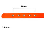 Onega Kaelarihm Koerale, Biothane Sinine 25mm x 55cm – pilt 2