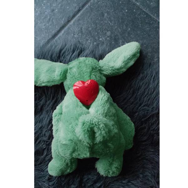 Cozy Dog Mänguasi Koerale, Roheline jänku 30cm – pilt 4