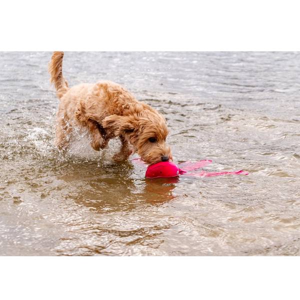 Dog Comets Mänguasi Koerale Tulnukas M Roosa 28cm (ujub vees) – pilt 3