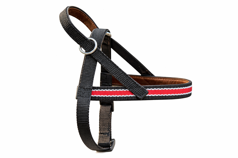 Onega Traksid Koerale Nailonist ja Nahast voodriga 60cm