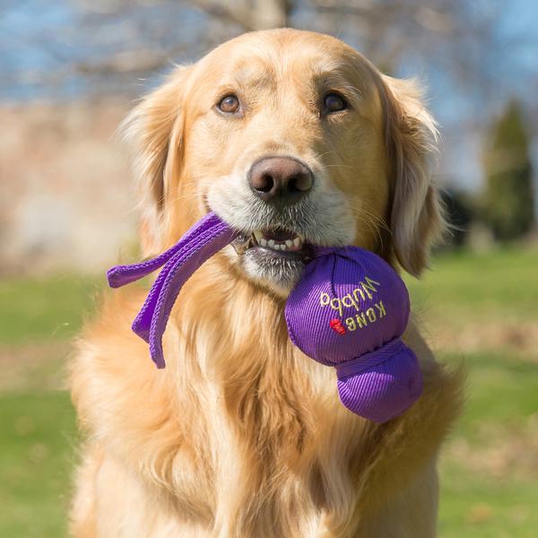 KONG Mänguasi Koerale Wubba XL 40cm – pilt 2