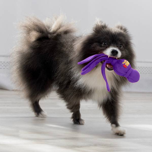 KONG Mänguasi Koerale Wubba S 20cm – pilt 2