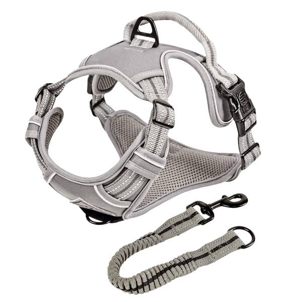 ne&no® sangaga traksid koerale + tõmbeid pehmendav lisarihm | XL (amstaff, pitbullterjer)