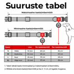 WAUDOG Nailonist Kaelarihm Koerale QR-passiga NASA21, 25 mm x 37–58 cm – pilt 4