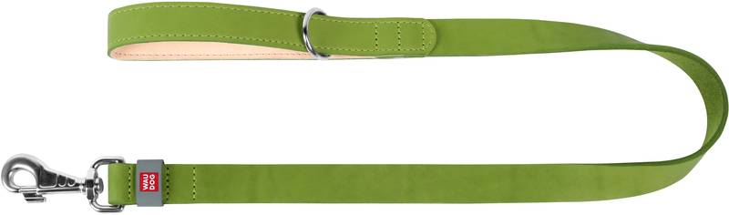 WAUDOG Classic Nahast Jalutusrihm Koerale, Roheline 20mm x 122cm – pilt 2