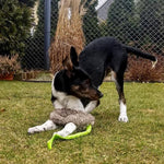 Dingo Mänguasi Koerale Kunstkarusnahast + Kummiga Käepide 55cm – pilt 2