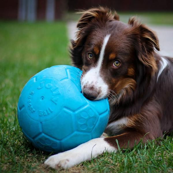 Jolly Pets Mänguasi Koerale Jalgpall Oranž 10cm (Ujub vees) – pilt 3
