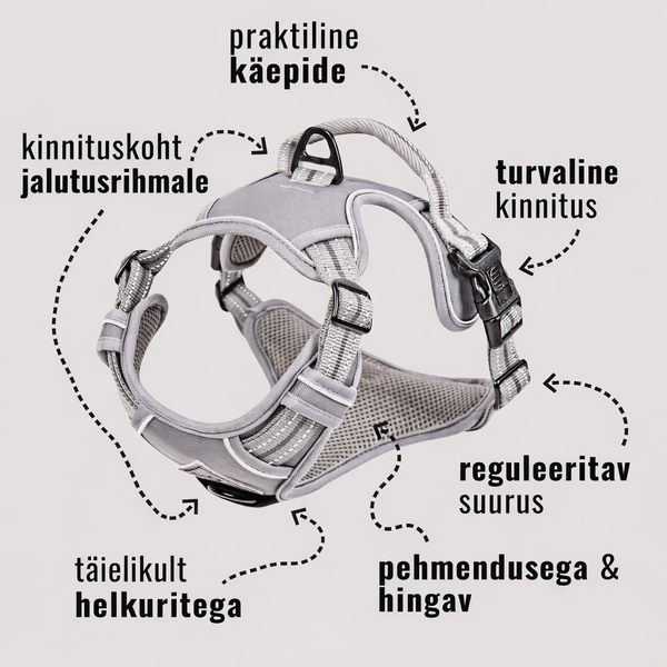 ne&no® sangaga traksid koerale + tõmbeid pehmendav lisarihm | L (ungari vizsla, dalmaatsia koer, malinois) – pilt 6