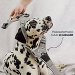 ne&no® sangaga traksid koerale + tõmbeid pehmendav lisarihm | XL (amstaff, pitbullterjer) – pilt 3