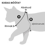 Flamingo Traksid Kassile Helesinine + Jalutusrihm – pilt 4