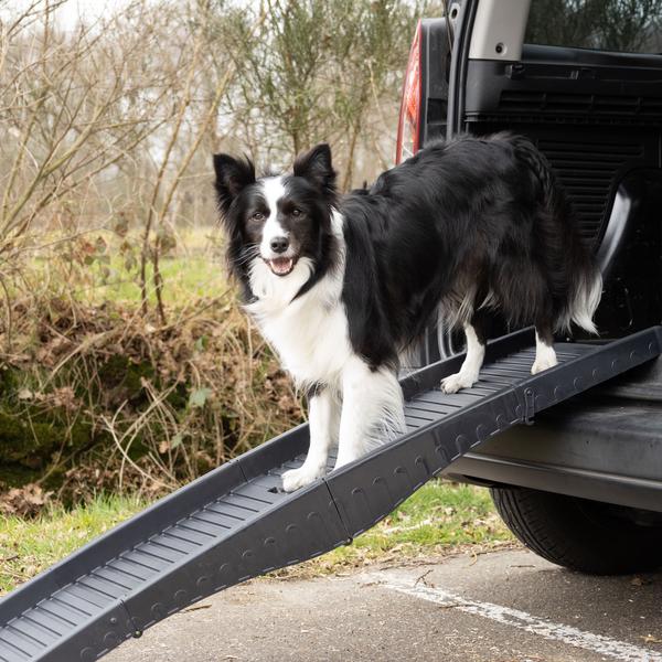 Flamingo Koera Kaldtee Autosse 150cm – pilt 3