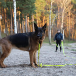 Dingo Jäljerihm, Oranž 16mm x 10m – pilt 2