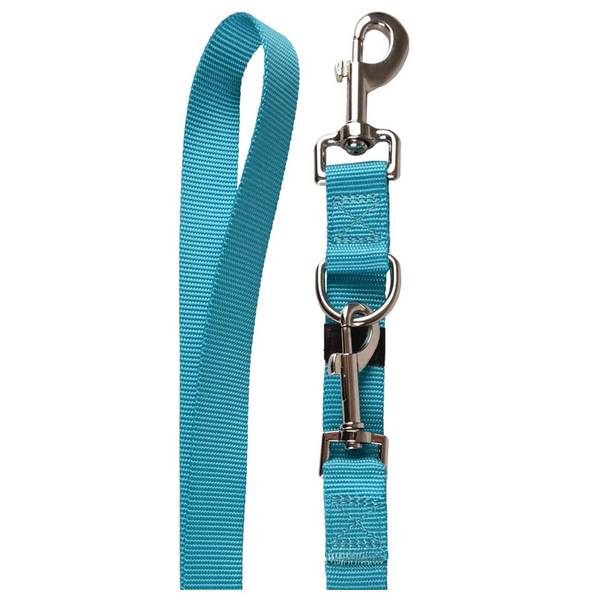 Flamingo Nailonist Treeningrihm Koerale, Türkiissinine 20mm x 200cm