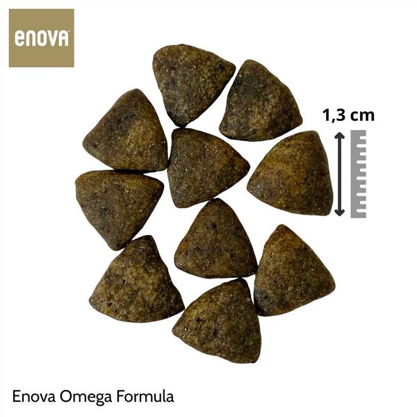 ENOVA Omega Teraviljavaba Kuivtoit Koerale Lõhe ja Heeringaga 12kg – pilt 3