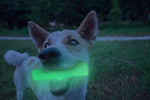 TWOG0002-5-f0c0ec0c-e9ac-4f32-b1a4-5b6c4327d6d1.jpg