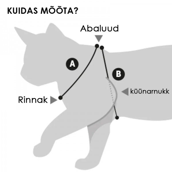 Nuotrauka