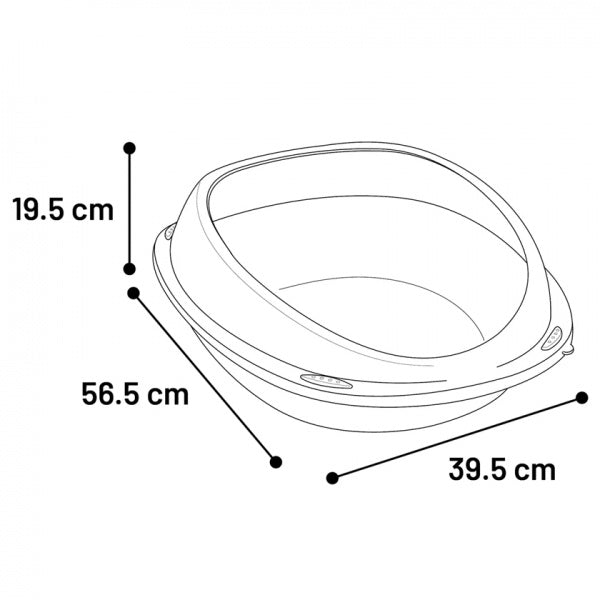 Pilt