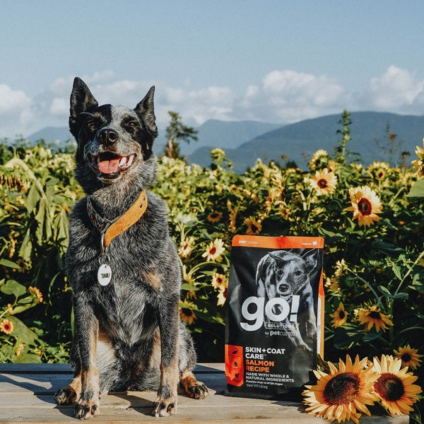 GO! Skin + Coat Lõhega Kuivtoit Koerale ja Kutsikale 1,6kg – pilt 4