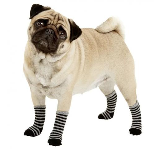 Flamingo Dog Socks Black/Grey M 4pcs 52x40mm