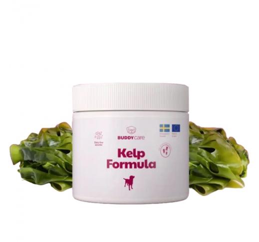 BuddyCare Teeth Formula - Kelp & Zinc 250g