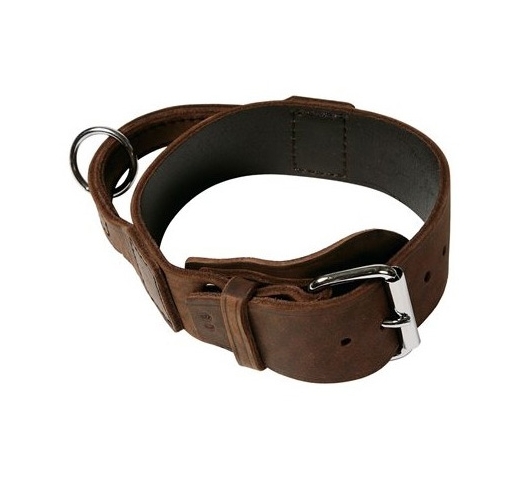 Klin Collar with Handle 50mm x 35-45cm