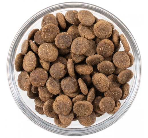 Dog Food Sample