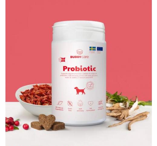 BuddyCare Probiotic Bites 150g