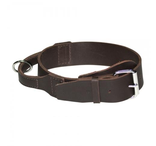 Dingo Collar with Handle 65cm