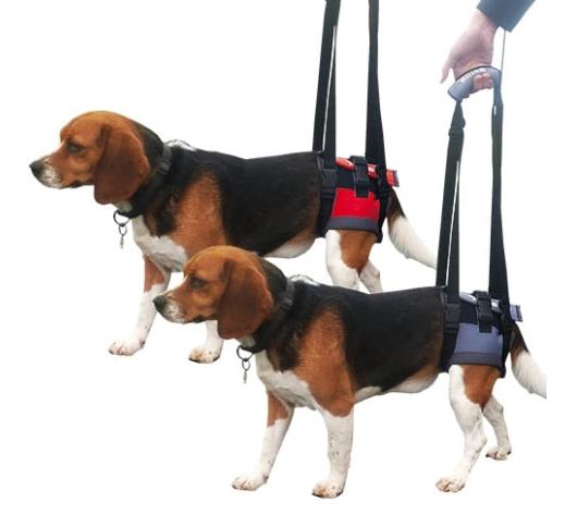 Genia Harness for Sick Dogs S (Back Legs) 33-36cm