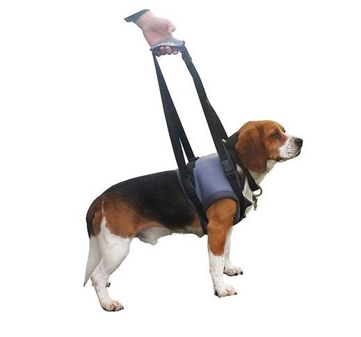 Genia Harness for Sick Dogs M (Front Legs) 45-65cm